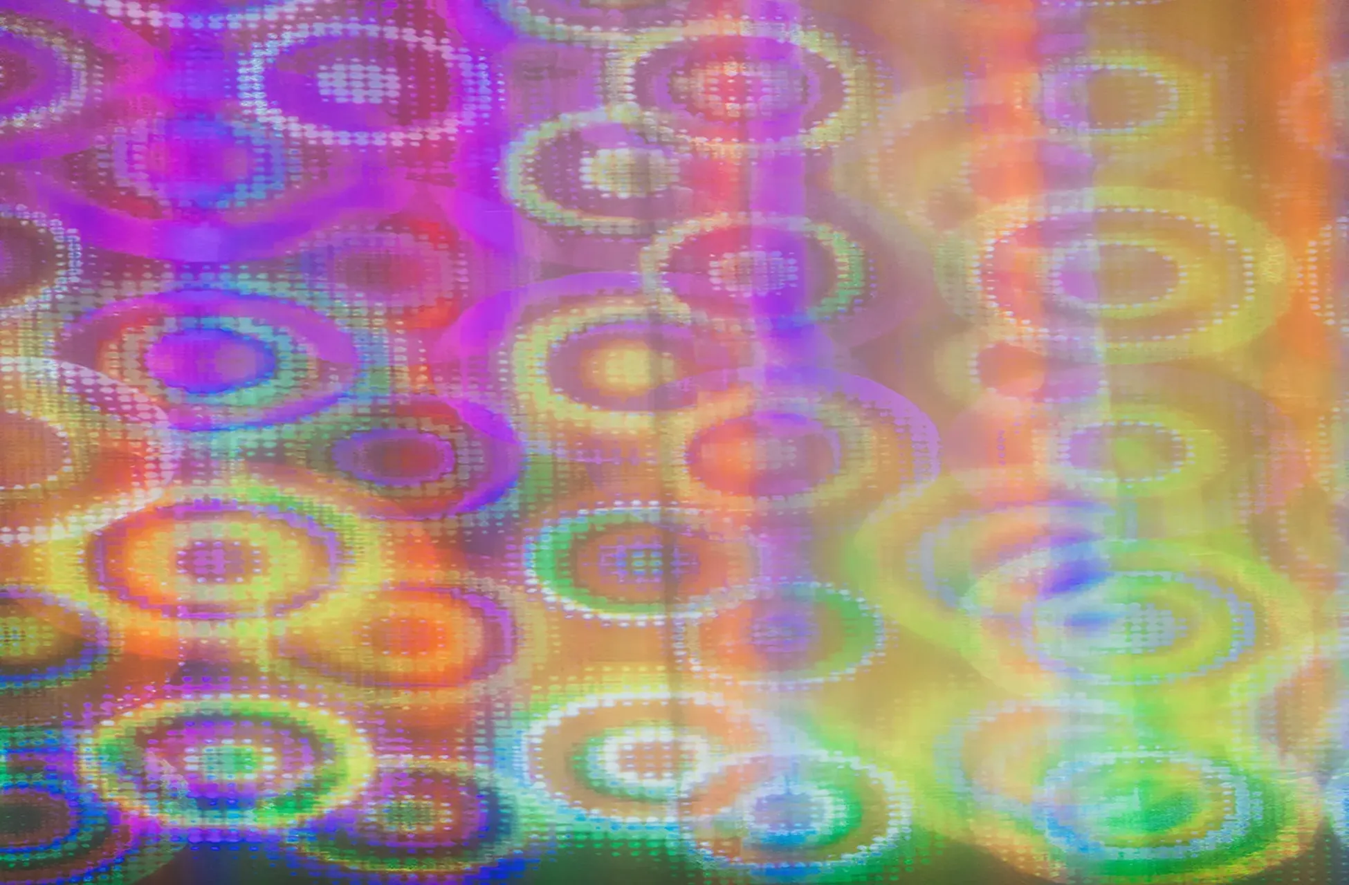 descripcion de las fotos